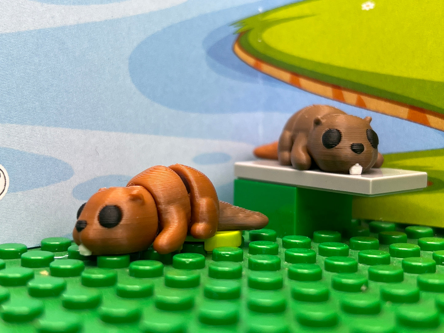 Beaver