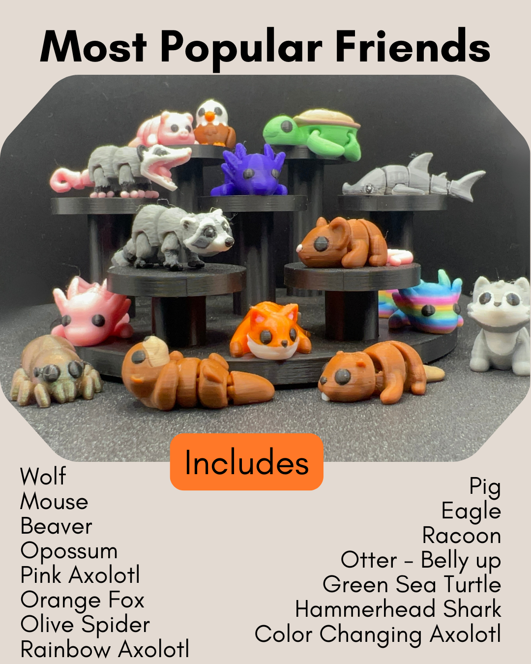 Most Popular Friends Sample Box