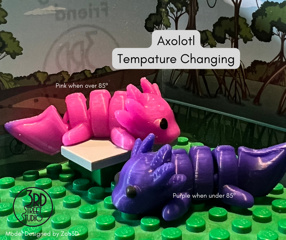 Axolotl