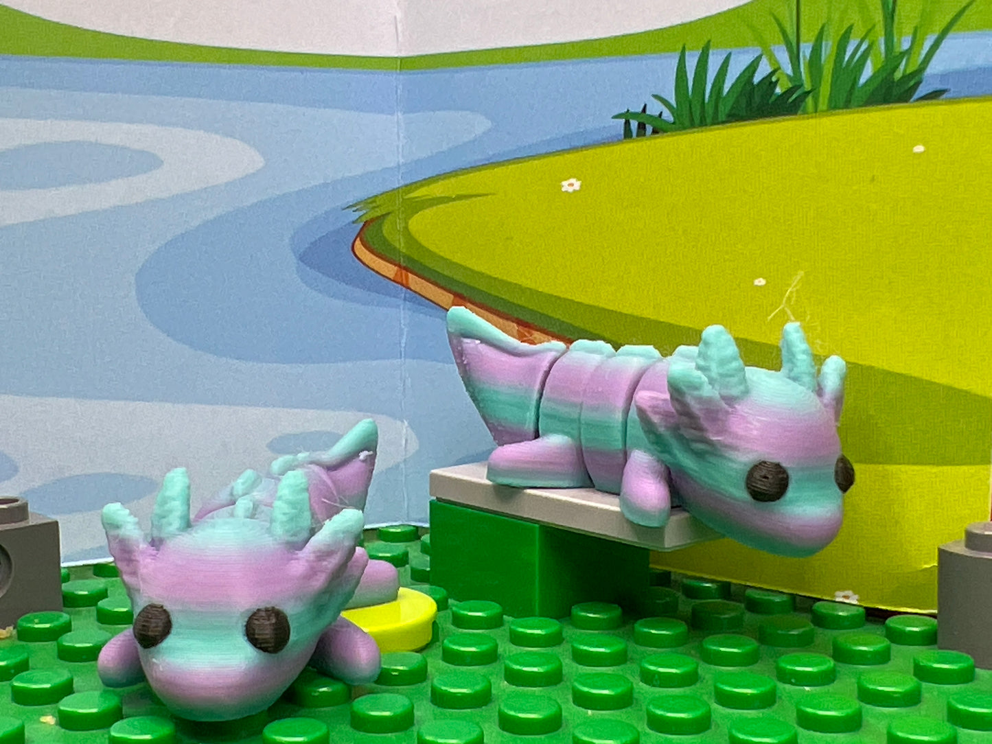 Axolotl