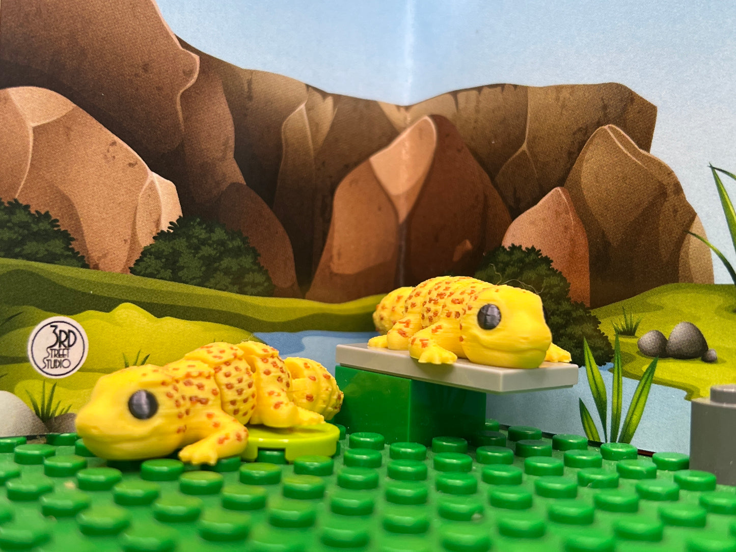 Gecko