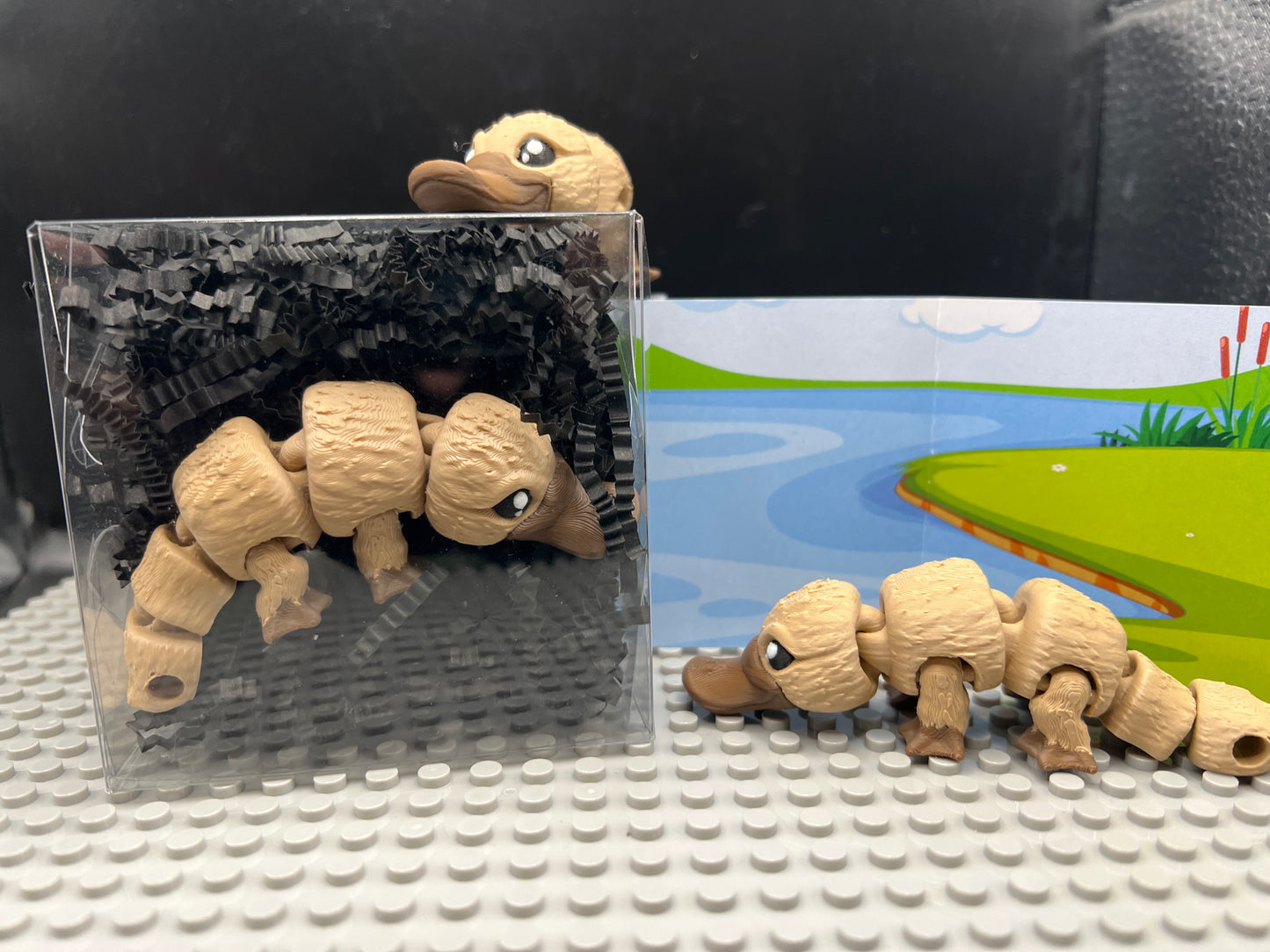 Platypus