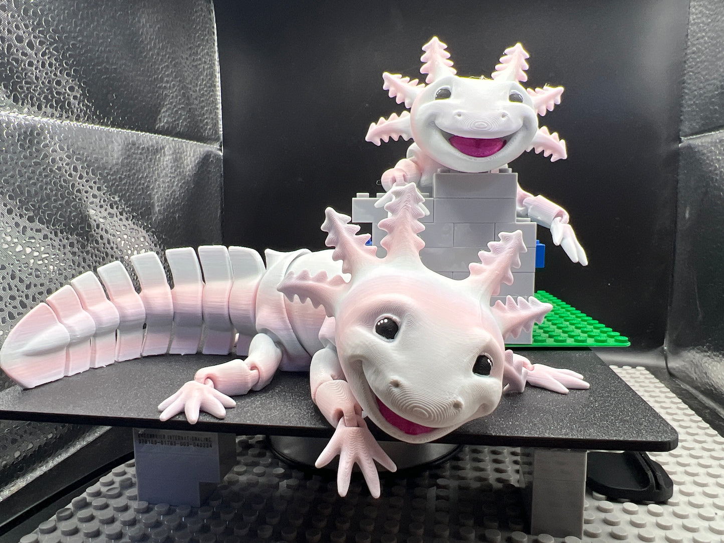 Axolotl