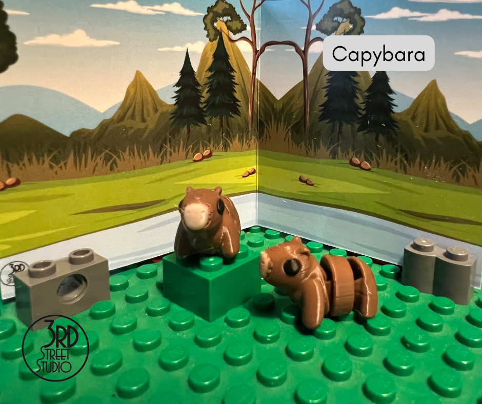Capybara