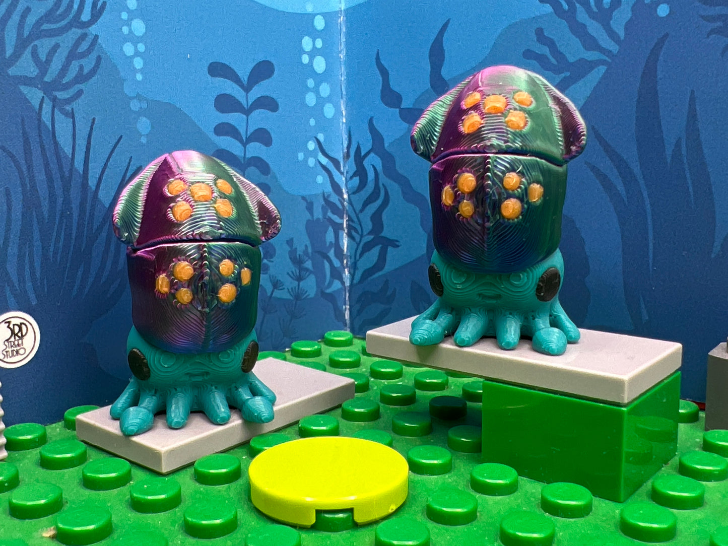 Squid