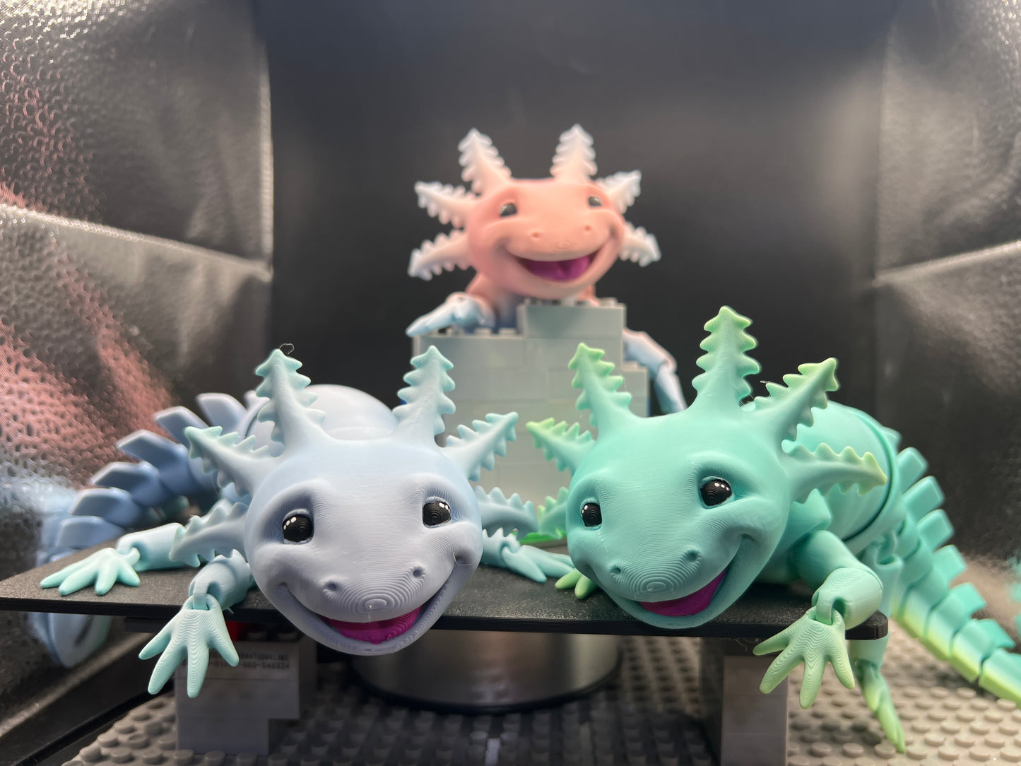 Axolotl