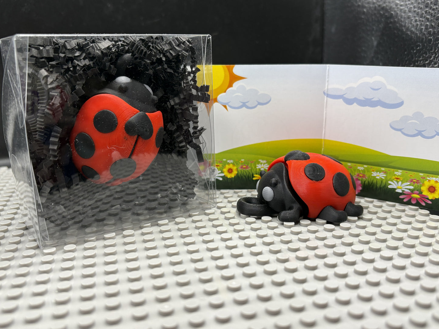 Ladybug