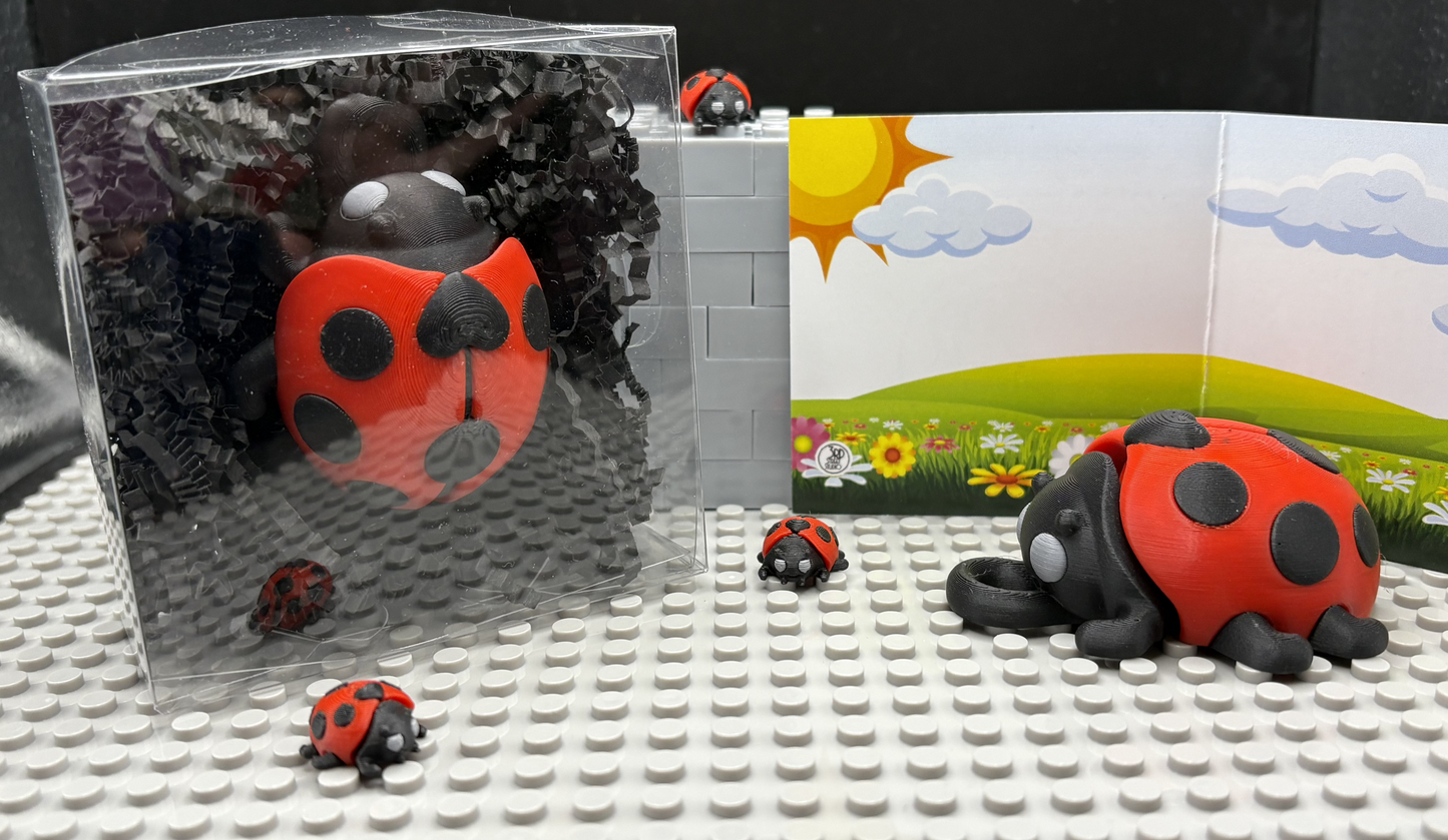 Ladybug
