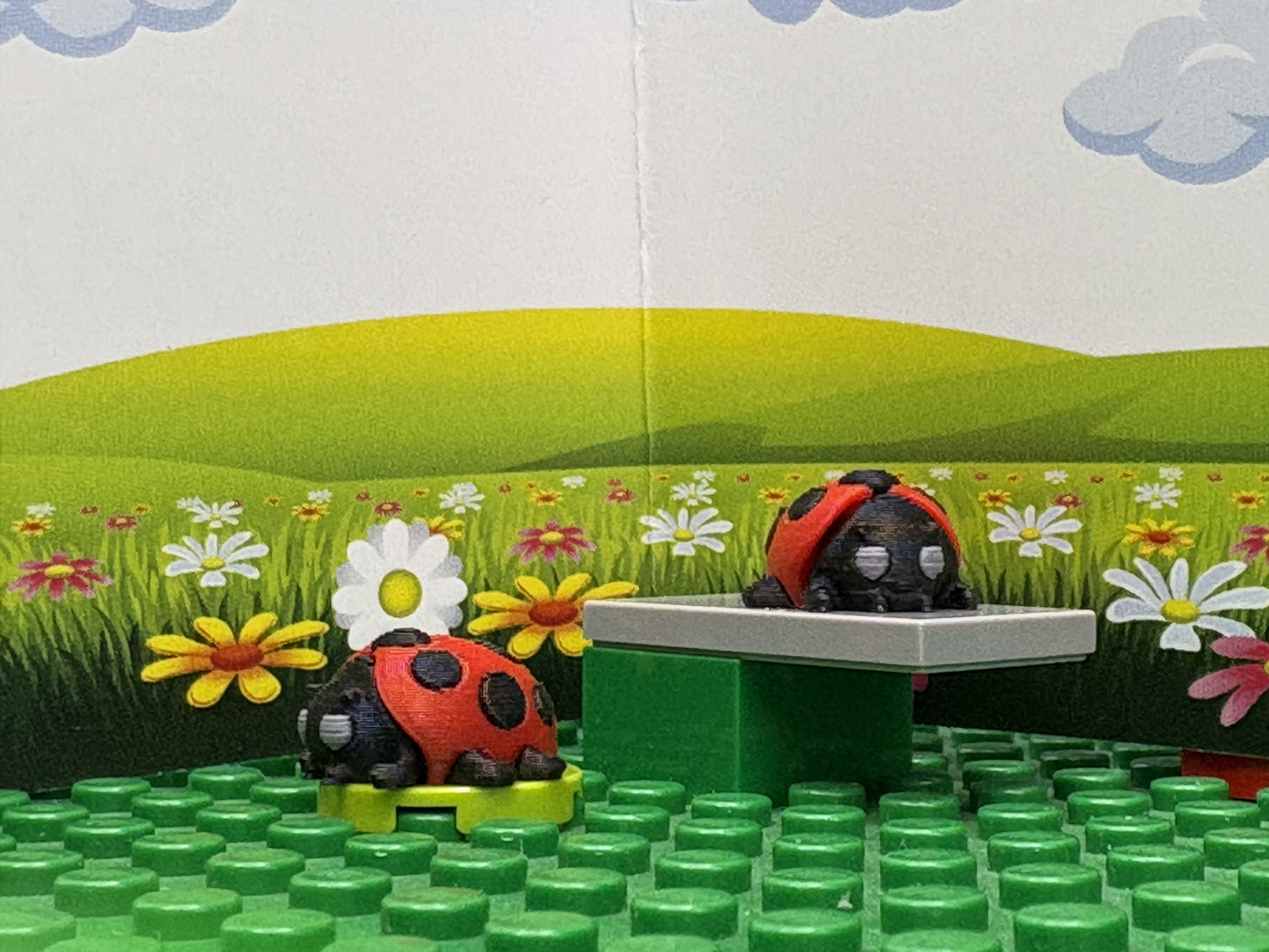 Ladybug