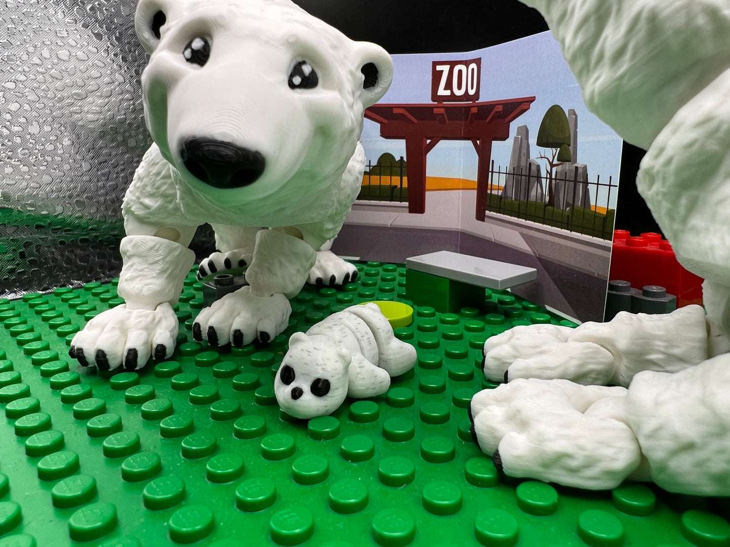 Polar Bear