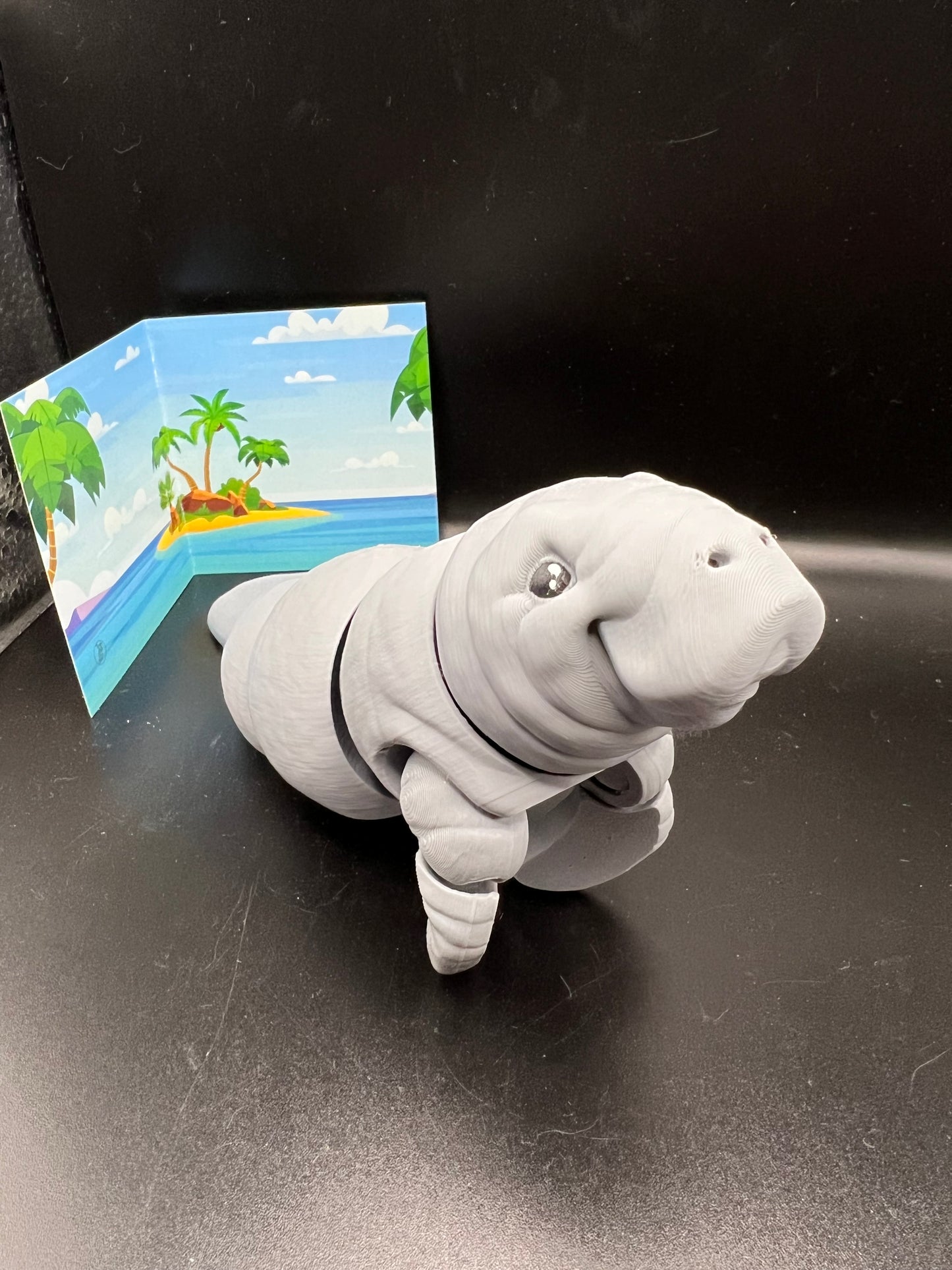 Manatee