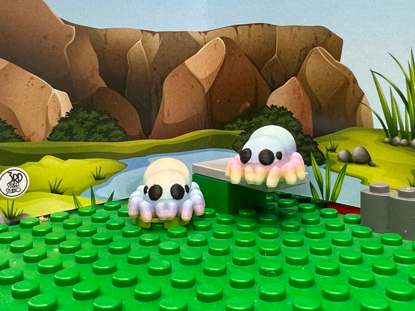 Jumping Spider