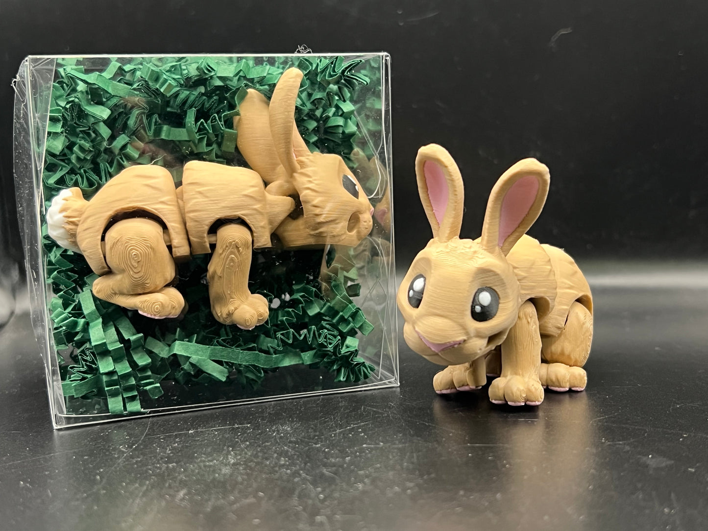 Bunny
