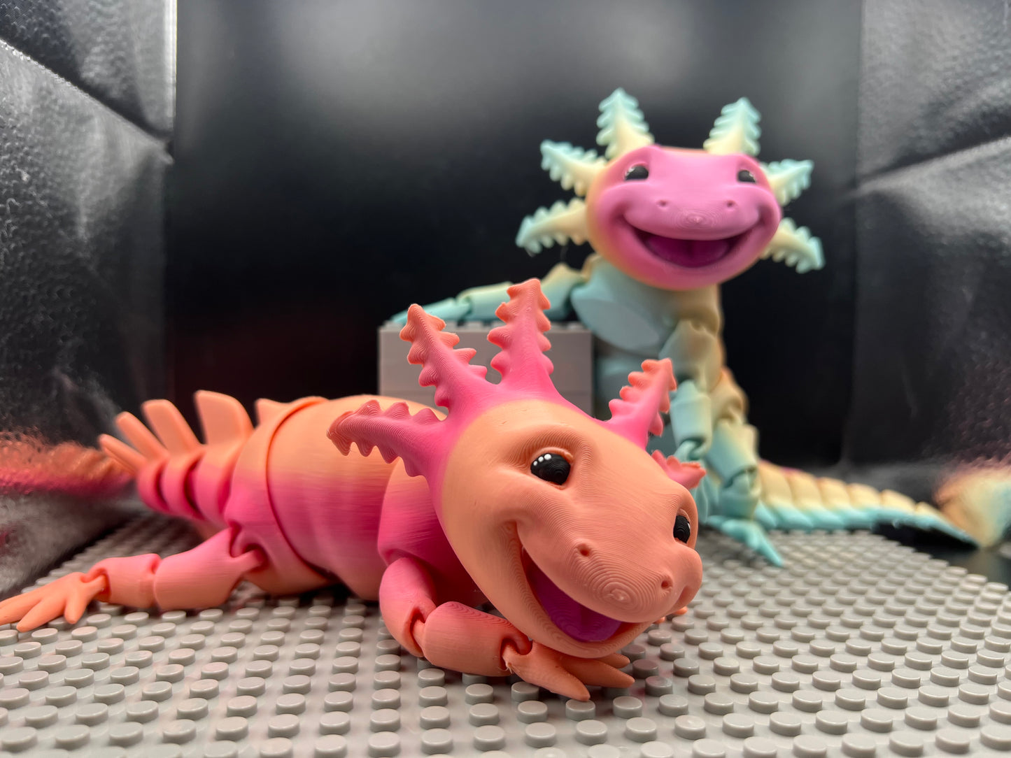 Axolotl