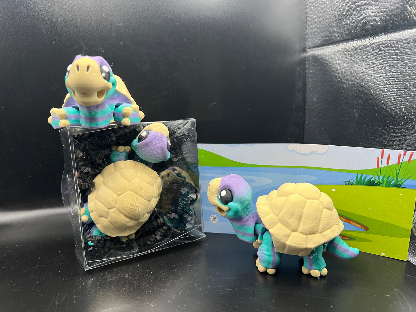 Turtle