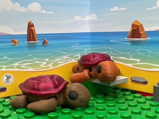 Turtle