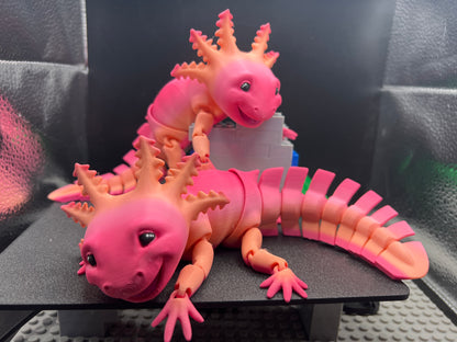 Axolotl