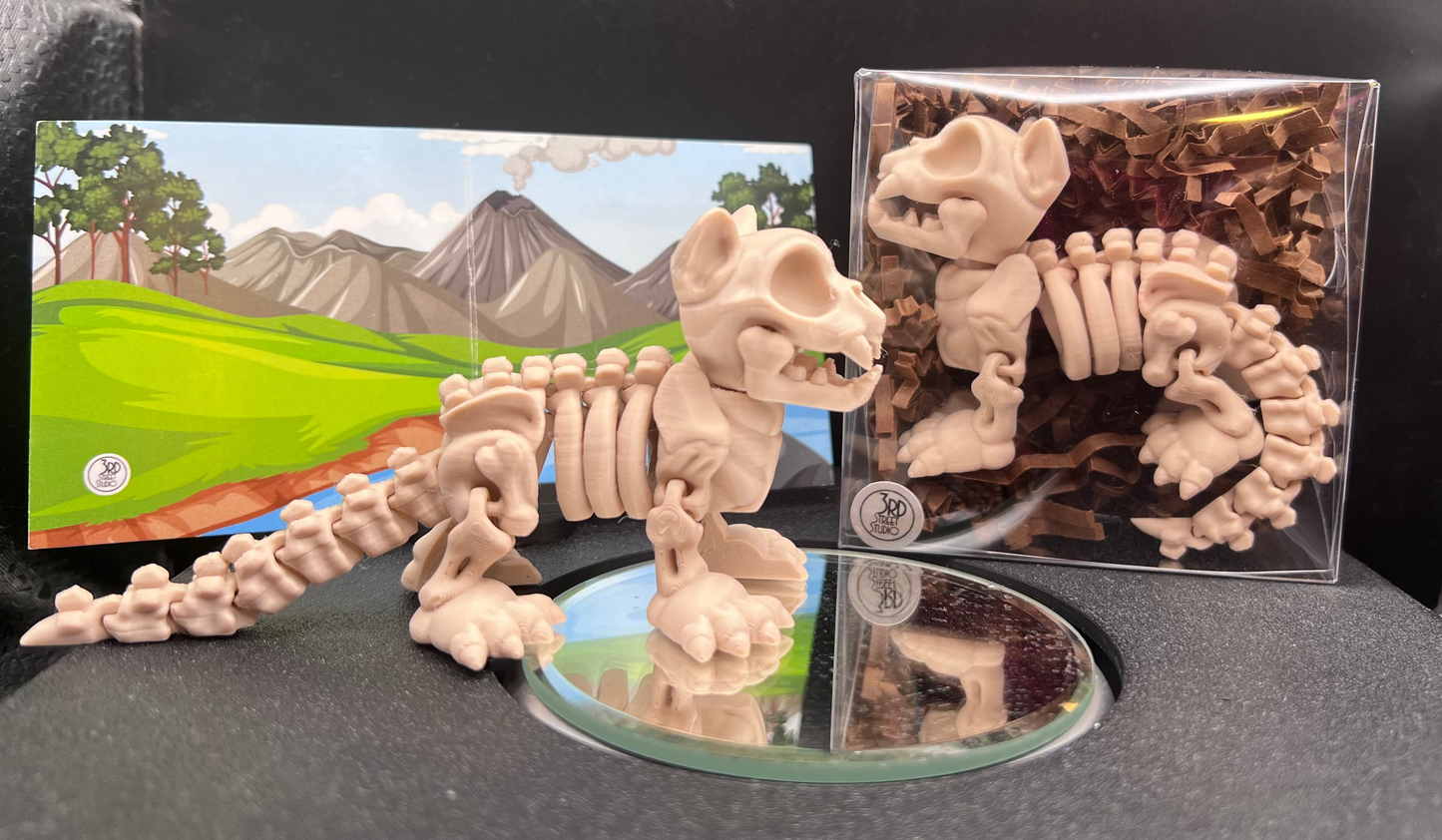 Fossil - Cat