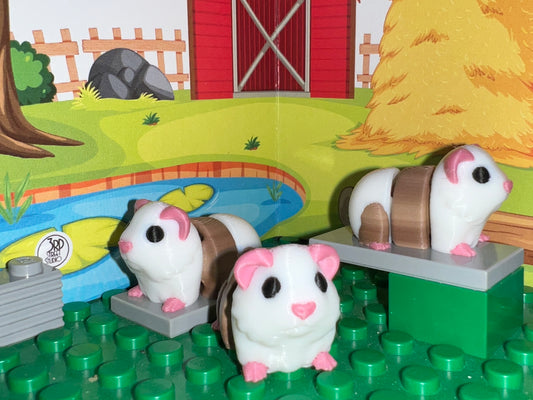 Guinea Pig