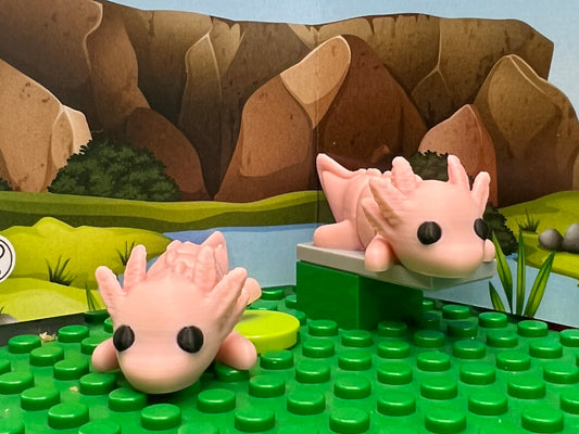 Axolotl