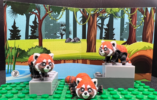Red Panda