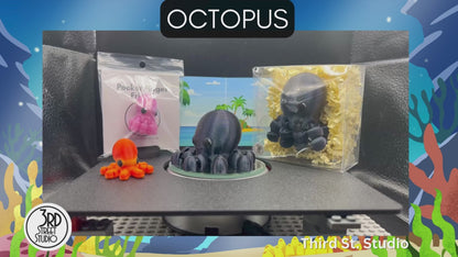 Octopus