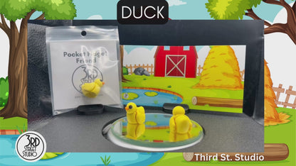 Duck