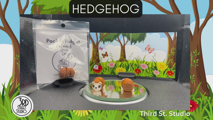 Hedgehog