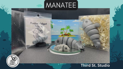 Manatee