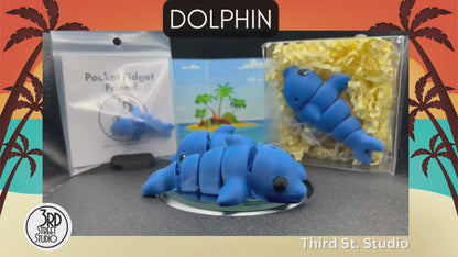 Dolphin