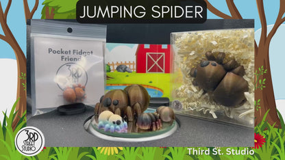Jumping Spider