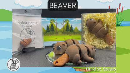 Beaver
