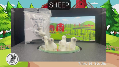 Sheep