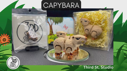 Capybara