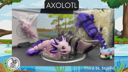 Axolotl