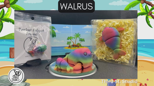 Walrus