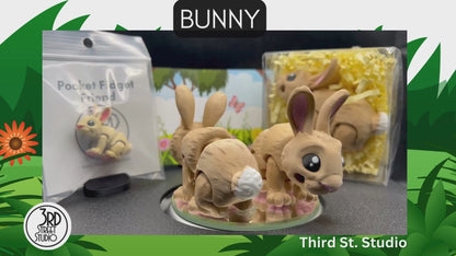 Bunny
