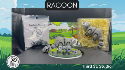 Raccoon