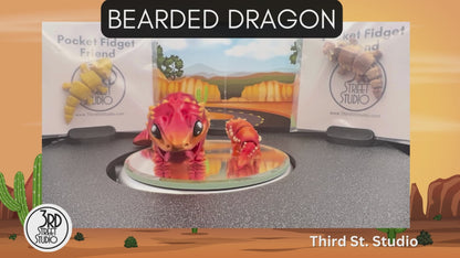 Bearded Dragon