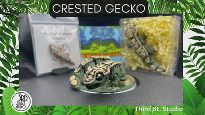 Crested Gecko